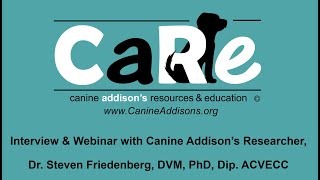 Canine Addisons Pathophysiology amp Genetics  CARE Interview with Dr Steven Friedenberg  9182021 [upl. by Ennoira]