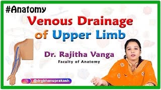 Venous Drainage of the Upper Limb [upl. by Kauffman]