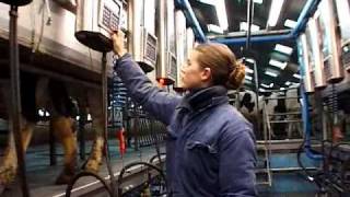 Harmony Plus Cluster  DeLaval Automated Milking Solutions  DeLaval [upl. by Petie]