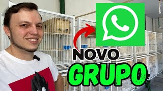 NOVO GRUPO DE WHATSAPP SOBRE AVES AGORA FICOU BOM [upl. by Artiek]