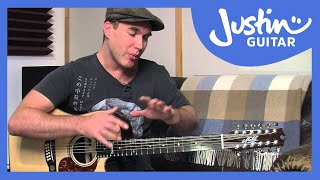 12 String Guitar Tuning Tips amp Tricks on a Maton Messiah Guitar Lesson TE501 [upl. by Eittam]