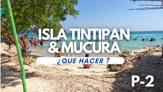 ¿Cuál es la mejor isla Tintipan o Isla Mucura  Alfor Turismo [upl. by Nottap]