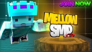 Join The Most Amazing Smp  mellowsmp [upl. by Laumas]