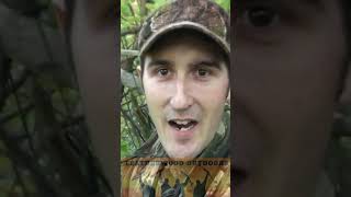 Double Lung Shot on Deer with Compound Bow  Bowhunting Pennsylvania [upl. by Keheley]