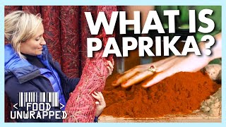 What is Paprika Actually Made Of  Food Unwrapped [upl. by Annaitsirk]