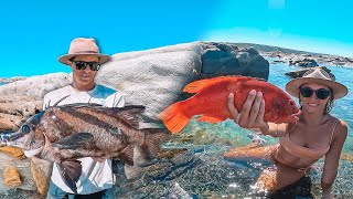 Spearfishing monster Boar fish  Remote Free Camp  catch and cook  WA  S1E12 [upl. by Mcconaghy]