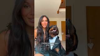 HIS BOW TIE nalatheneedyrottie rottweiller [upl. by Li]