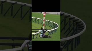 Horse racing accident fjordigang horse equestrian horseedit edit riding horseriding pony [upl. by Kenton]