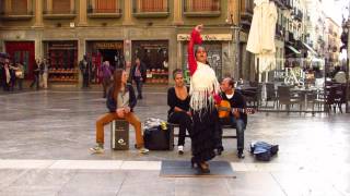 Flamenco Street Show [upl. by Araid561]