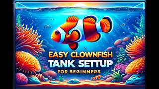 Easy Clownfish Tank Setup for Beginners  StepbyStep Guide [upl. by Elocim]