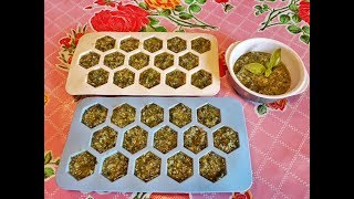 Recette du PESTO au BASILIC et MÉTHODE de CONSERVATION ULTRA FACILE [upl. by Alvera]