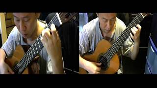 Allemande from Sonata for Two GuitarErnst Gottlied Baron 16961760 [upl. by Oaks504]