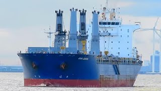 4 crane cargo seaship STAR LOUSIANA V7SD8 IMO 9593880  Lotse Emden pilot boarding [upl. by Demha403]