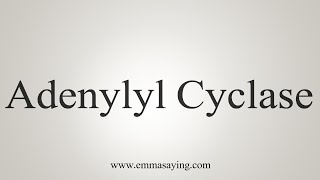 How To Say Adenylyl Cyclase [upl. by Katusha383]