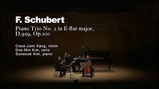 F Schubert Trio for Piano Violin and Cello no 2 in E flat major D929 [upl. by Eniamreg]