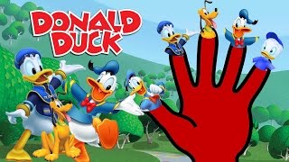 FINGER FAMILY SONG ♥ DONALD DUCK FINGER FAMILY NURSERY RHYMES ♥ KIDS SONGS [upl. by Uahc186]