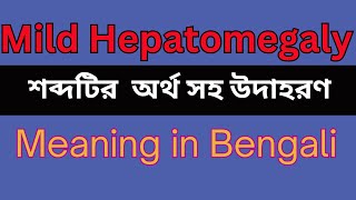 Mild Hepatomegaly Meaning In Bengali Mild Hepatomegaly mane ki [upl. by Doownil314]