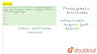 How many organism in the list given below are autotrophs Lactobacillus Nostoc Chara Nitrosomo [upl. by Anu950]