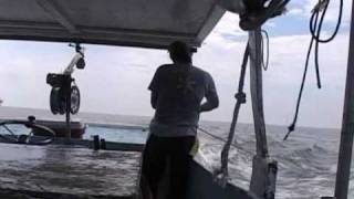 COMMERCIAL FISHING FOR KING MACKEREL AND WAHOO [upl. by Anaek]