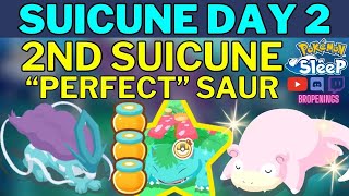 Suicune Day 2 2nd Suicune Caught amp quotPerfectquot Venusaur pokemonsleep suicune shinypokemon [upl. by Acey]