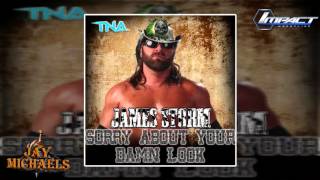 TNA Sorry About Your Damn Luck James Storm By Dale Oliver amp Serg Salinas  Custom Cover And DL [upl. by Anihtyc865]