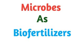 Microbes as Biofertilizers  Enhancement of Food Production  Pravin Bhosale [upl. by Babb]