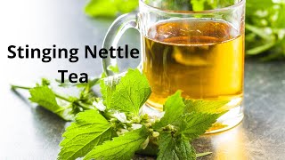 Uncover the Health Benefits of Stinging Nettle Tea The Ultimate Guide [upl. by Brandais]