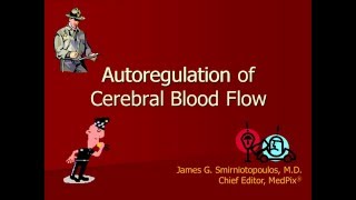 Brain Physiology  Autoregulation of Blood Flow [upl. by Katerine795]