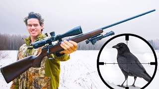 Small Game Hunting with 17HMR Scope Cam [upl. by Otreblaug]