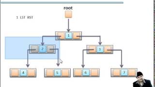 Chapter 17 Preorder Traversal of Binary Tree with RecursionHindi [upl. by Aicrop]