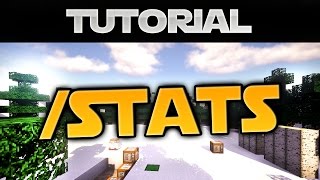 Minecraft Stats Command  Alle Funktionen [upl. by Airdnat]