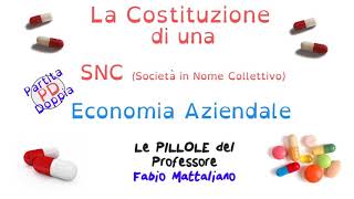 SNC le scritture in Partita Doppia PD relative alla costituzione [upl. by Gefen]