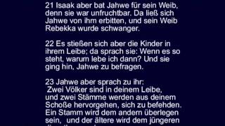 1 Mose 25  Abrahams Stammbaum und Alter Geburt der zwei Söhne Isaaks Jakob und Esau [upl. by Llenral484]