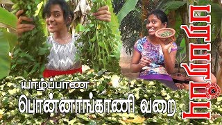 Ponnanganni Fry  Alternanthera sessilis  யாழ்ப்பாண பொன்னாங்காணி வறை [upl. by Bolling]