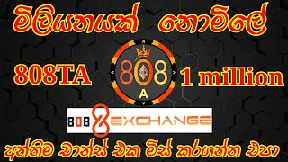 eurolanka  808 exchenge airdrop  808 token free sinhala  online money sinhala  airdrop sinhala [upl. by Nyad]