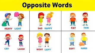 Opposite Words in English  antonyms in English  English Vocabulary [upl. by Cortie]