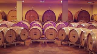 ICARIO WINERY  MONTEPULCIANO  ITALY [upl. by Notac]