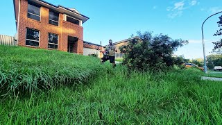 Renters REFUSED To Mow The Lawn Of Their MULTI MILLION Dollar Rental Property [upl. by Nerrot464]