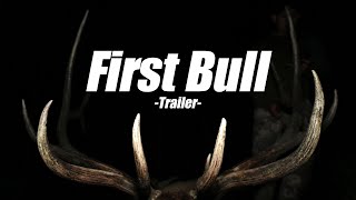 First Bull Trailer Public Land Archery Elk Hunt [upl. by Koa520]