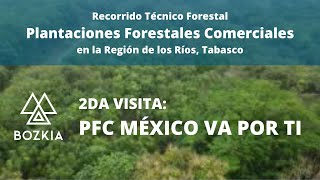 Plantaciones Forestales quotMéxico Va Por Tiquot  Recorrido Técnico por las PFC Segunda Visita [upl. by Saravat]