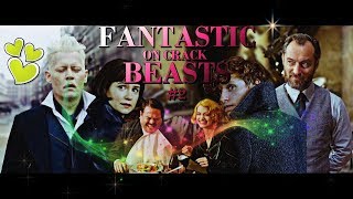 ● Fantastic Beasts On Crack 2 ● Song Spoof [upl. by Fabi]