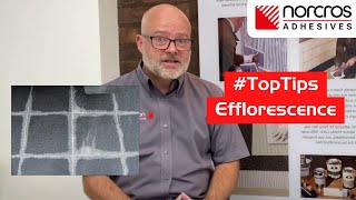 Efflorescence in Tiling  Norcros Top Tips Series [upl. by Elleivad]