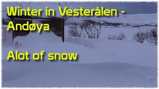 Norwegian Bushcraft and Fishing  Alot of Snow  Winter 2024 Part 1 [upl. by Ibby990]