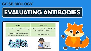 Evaluating Monoclonal Antibodies  GCSE Biology [upl. by Walburga]