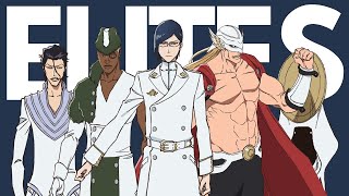 Who are Yhwachs ELITE STERNRITTER The STRONGEST Enemies That Even BANKAI Cant Kill  Bleach TYBW [upl. by Iggam]