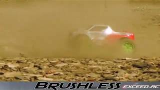 Exceed Rc Electric Buggy and Truck with Brushless upgrade [upl. by Sillyrama350]