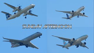 Sunday Afternoon Plane Spotting in Des Moines WA [upl. by Lehcear]