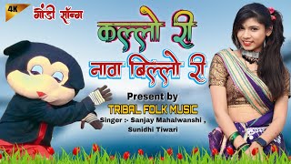 कल्लो री नावा बिल्लो री  गोंडी सॉन्ग  KALLO RI GONDI SONG  SANJAY MAHALWANSHI  gondi [upl. by Enalda563]