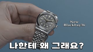 신형 같지 않은 신형 튜더 new 블랙베이36 [upl. by Akcimahs313]