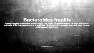 Medical vocabulary What does Bacteroides fragilis mean [upl. by Leakim]